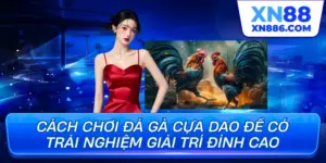 Cách chơi đá gà cựa dao để có trải nghiệm giải trí đỉnh cao