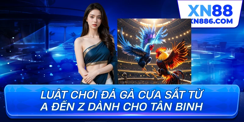 Luật chơi đá gà cựa sắt từ a-z dành cho tân binh