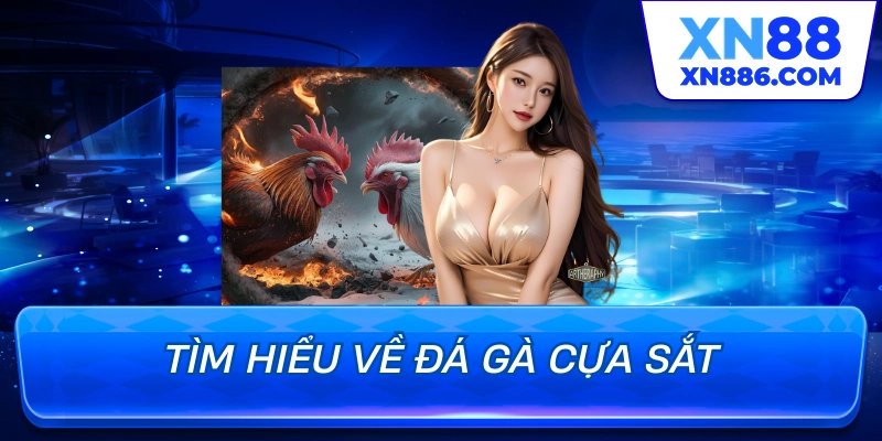 Tìm hiểu về đá gà cựa sắt